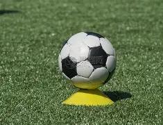 浙媒,大莲花座席,遍布,亚博体育,亚博体育官网,亚博体育app,亚博体育下载